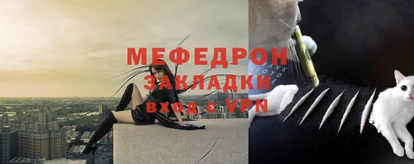 дурь Бородино