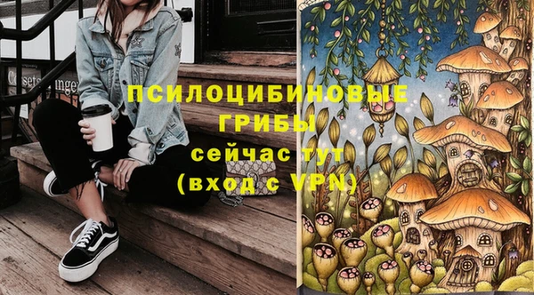 дурь Бородино