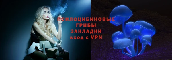 тгк Бугульма
