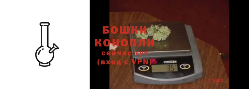 дурь Бородино