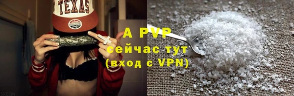 дурь Бородино
